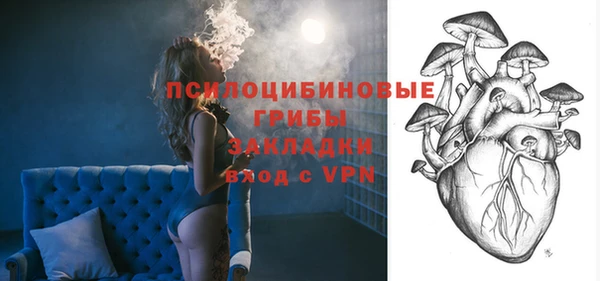 эйфоретик Заводоуковск