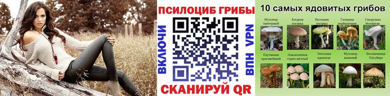 Купить закладки  Заволжск  Галлюциногенные грибы мицелий 